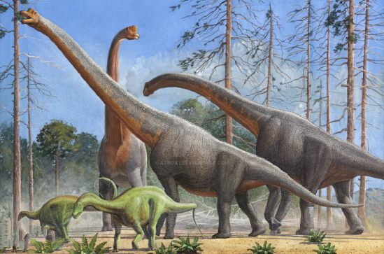 侏罗纪恐龙的长度明星梁龙